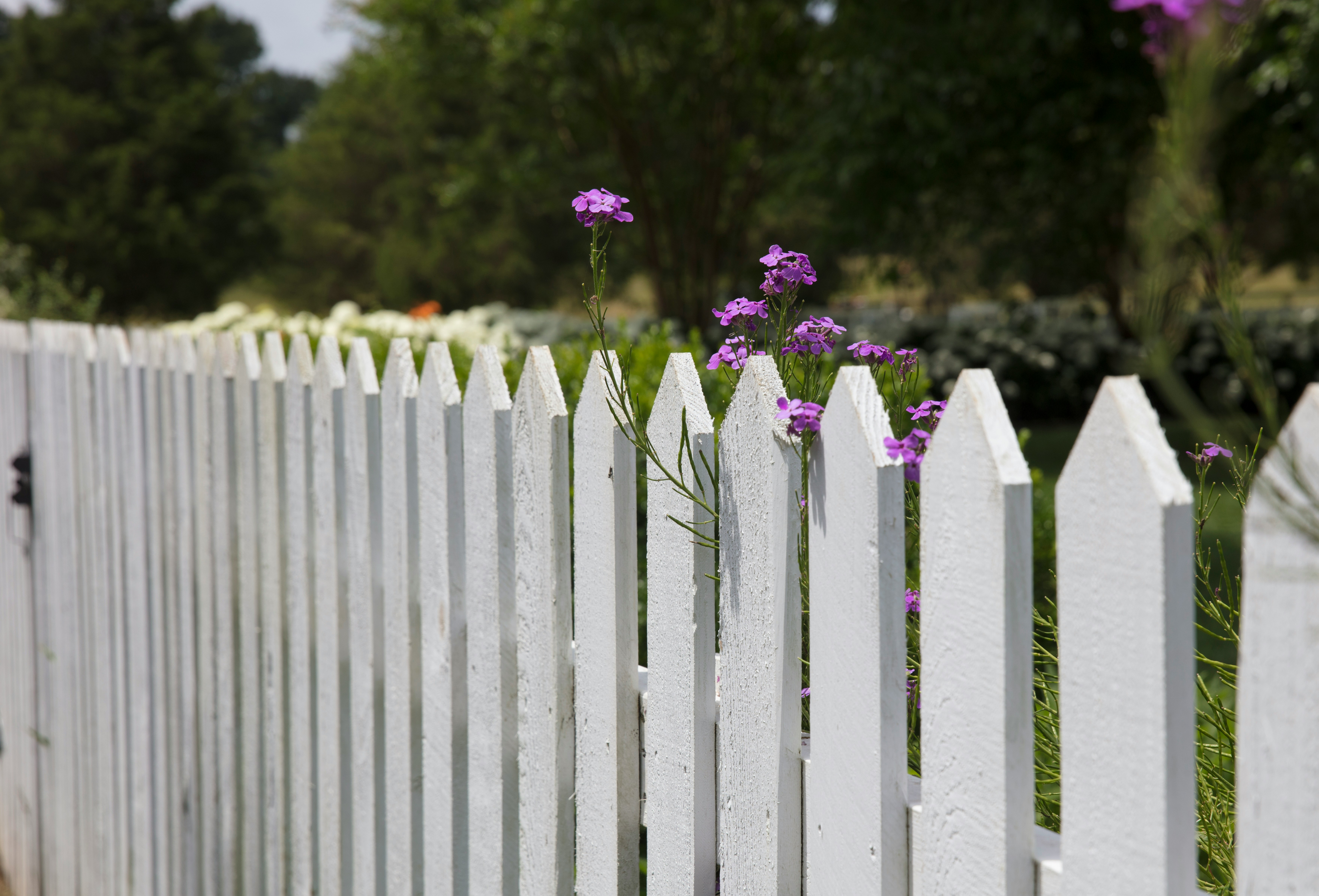 Fencing Services